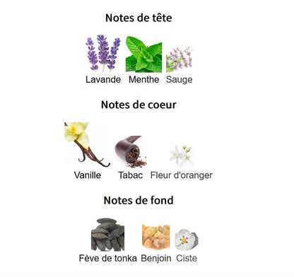 Lattafa The Kingdom - Perfume Sample 5ml/2ml - Travel Size - Middle Eastern Fragrance