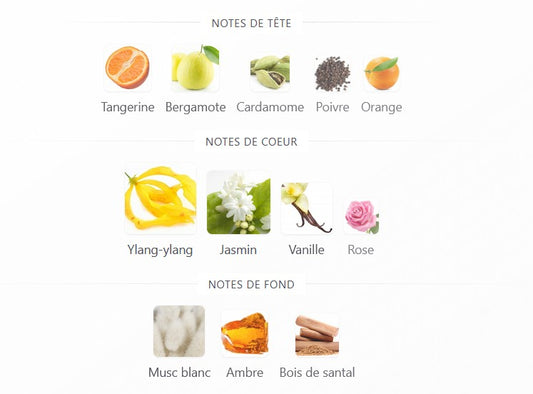 Lattafa Yaqeen Asdaaf - Échantillon de Parfum 5ml/2ml - Format de Voyage - Parfum du Moyen-Orient