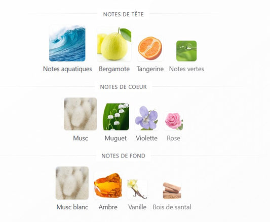 Maison Alhambra Infini Musk - Échantillon de Parfum 5ml/2ml - Format de Voyage - Parfum du Moyen-Orient