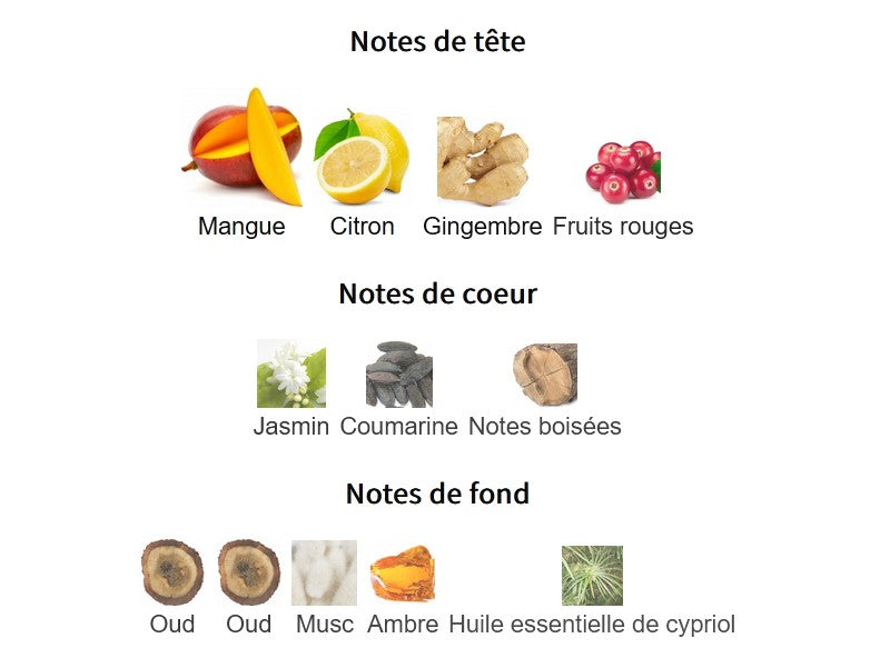 Paris Coner Ophidian Mango Bliss - Perfume Sample 5ml/2ml - Travel Size - Middle Eastern Fragrance