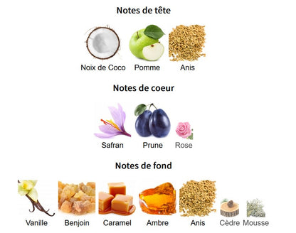 Paris Corner December Ambar - Échantillon de Parfum 5ml/2ml - Format de Voyage - Parfum du Moyen-Orient