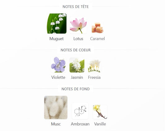 Paris Corner Eshal Musk - Échantillon de Parfum 5ml/2ml - Format de Voyage - Parfum du Moyen-Orient