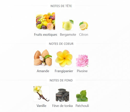 Paris Corner Fayora Oshino - Échantillon de Parfum 5ml/2ml - Format de Voyage - Parfum du Moyen-Orient