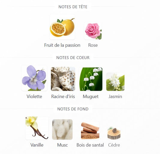 Paris Corner Fayora - Échantillon de Parfum 5ml/2ml - Format de Voyage - Parfum du Moyen-Orient