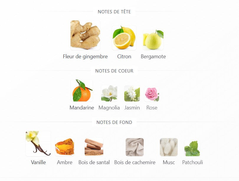 Paris Corner Hurriya Gingerique - Échantillon de Parfum 5ml/2ml - Format de Voyage - Parfum du Moyen-Orient