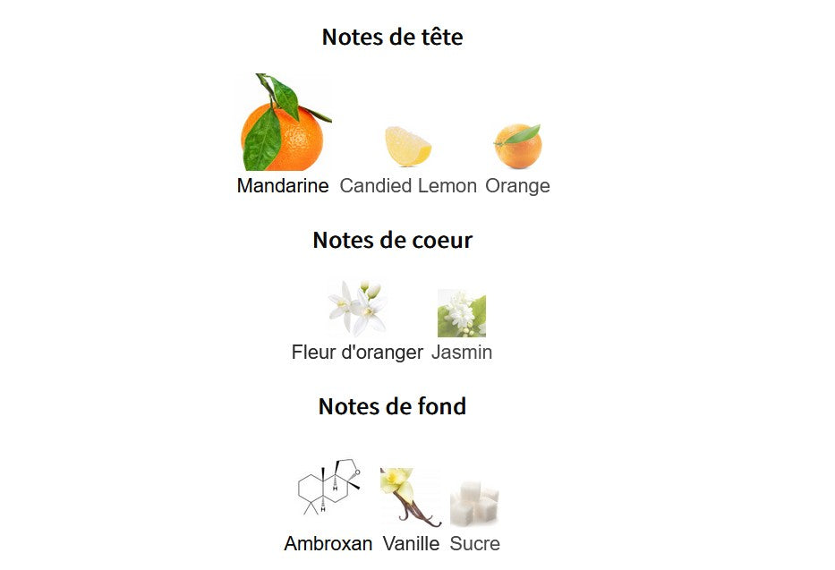 Paris Corner Jardin des Papillons - Perfume Sample 5ml/2ml - Travel Size - Middle Eastern Fragrance