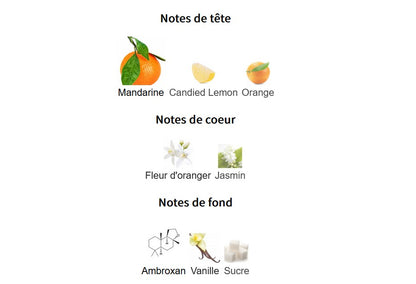 Paris Corner Jardin des Papillons - Perfume Sample 5ml/2ml - Travel Size - Middle Eastern Fragrance