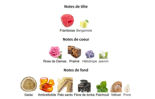 Paris Corner Ophidian Black Cherry - 5ml/2ml Perfume Sample - Travel Size - Middle Eastern Fragrance