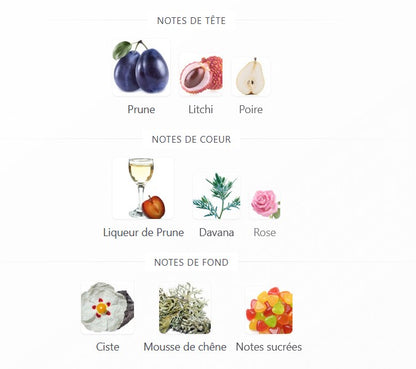 Paris Corner Plum Liquor - 5ml/2ml Perfume Sample - Travel Size - Middle Eastern Fragrance